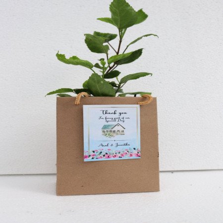 Sapling With Paper Bag and Thank You Card